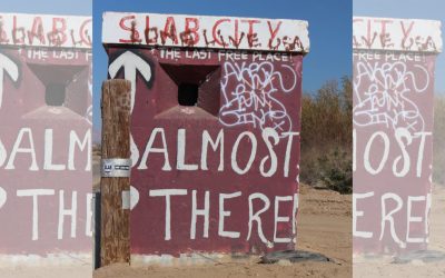 Villagers & Pillagers: Who Will Survive the Collapse?