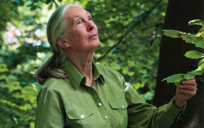 Jane Goodall Blasts ‘Concentration Camp’ Factory Farms