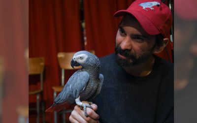 Charlie: Why I Wrote about Living with a Bird for 30 Years